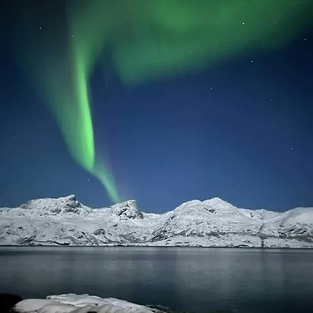 Hébergement de vacances Midnight-sun And Northern-lights House By Ocean *