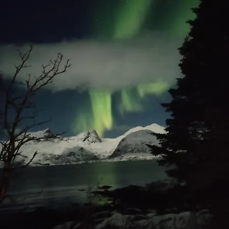 Hébergement de vacances Midnight-sun And Northern-lights House By Ocean *