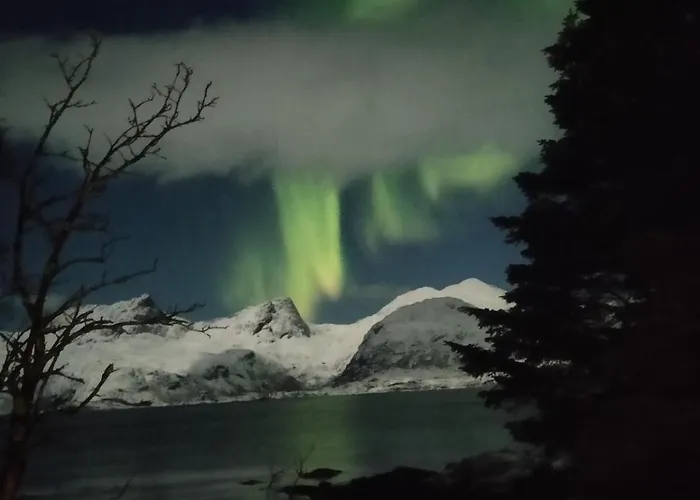 Hébergement de vacances Midnight-sun And Northern-lights House By Ocean *